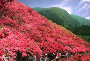 木兰云雾山一日游【私家团/包车游家门口出发-7座商务车出行】【[行程特色]VIP一对一包车服务 定制游 不赶行程 无须拼车 自由随心】