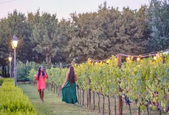 意大利基安蒂酒庄品酒+葡萄园晚餐一日游|托斯卡纳色彩与风味【漫游风景如画的基安蒂葡萄酒产区，访问2座各具特色的当地酒庄！】