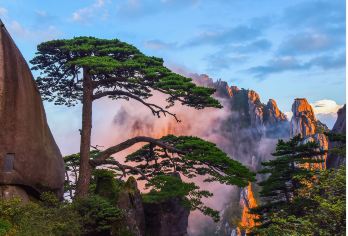 安徽黄山风景区纯玩1日游@【黄山奇松迎客+光明顶+世界文化与自然双重遗产+欣赏美黄山+征服云海之巅+黄山往返）】