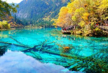 成都至九寨沟、黄龙自助游（含接送服务）【自助游既省钱又方便。您可以自由安排行程，按照自己的节奏旅行，无需导游。 旅途中享受无缝衔接的接送服务。我们致力于为您提供轻松便捷的出行体验。 我们会提前预订高铁车票，让您可以安心享受旅程。】