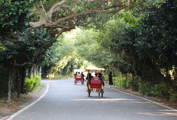 机场入境专属、桃园珍珠海岸乐活行【一日游】【桃园机场直接出发】