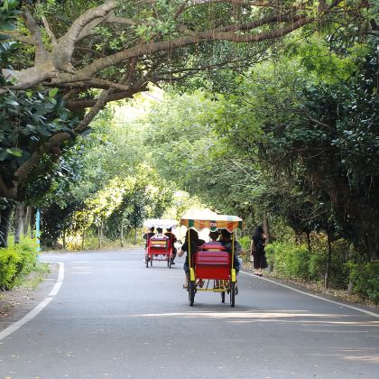 机场入境专属、桃园珍珠海岸乐活行【一日游】
