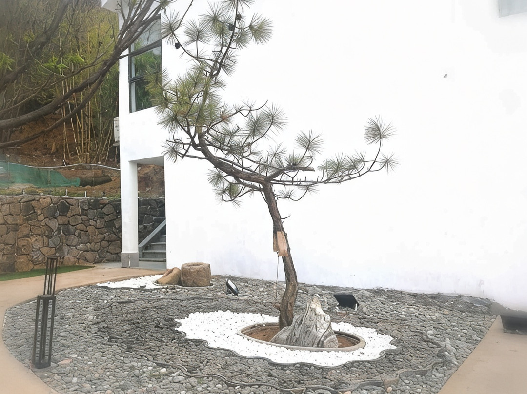泸沽湖莲花客栈