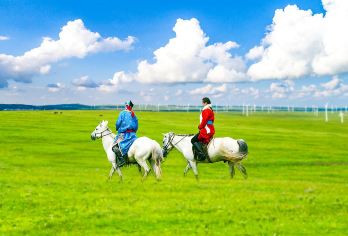 辉腾锡勒草原+黄花沟一日游【晚出发/不早起/无购物/纯玩】【景区特色：鲜花草原-辉腾锡勒草原；一日阅尽醉美草原。】