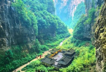 【9点班|全新车8人团】 武隆天生三桥+仙女山森林公园一日游【9点晚出发，8人小团 ，睡饱再玩，直达天生三桥入口，免1次中转换乘（节假日景区限流除外）】