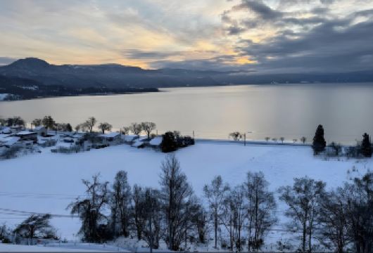 日本小樽运河-小樽天狗山缆车-船见坂-朝里【北海道中文专车】【中文专车出行，景点灵活调整，打卡经典，游玩自己定义，无需等待，专属贴心服务，尽享惬意旅程】