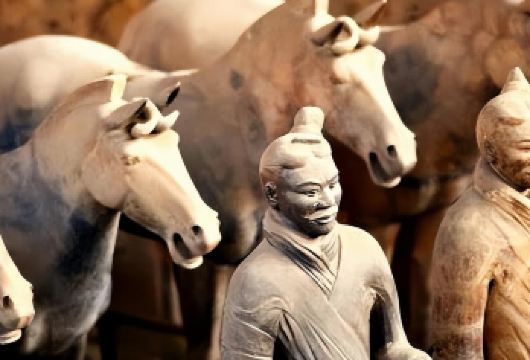 兵马俑人工讲解 橄榄游● 资深大咖导游精讲 多时长场次可选【[橄榄游讲师团]他们博古通今，幽默睿智，善于挖掘文物背后的故事，用有趣的方式还原历史真相！】