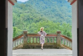 白鹿音乐小镇一日游【四川非遗之路·喝白鹿白茶·品山水味道】【高山流水育好茶，白鹿白茶香 | 四川国旅自营·品质发团社引领者 ，纯玩无购物】