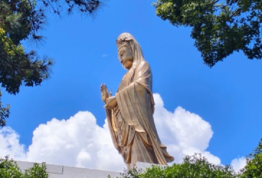 舟山普陀山风景区一日游 全程土著导游解【朱家尖码头出发】【[佛国普陀]精心策划行程，全程当地土著，土著导游陪同讲解，许愿，还愿必到景点】