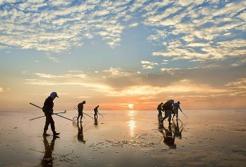 「亲子赶海」北海银滩・红树林围网赶海 · 亲子赶海趣游【乘帆船海上观光，与大海来个亲密接触，海上看北海!】