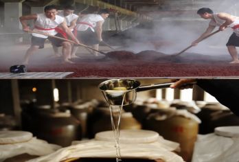 遵义会址、茅台镇一日活动【遵义会址、茅台镇一日游】