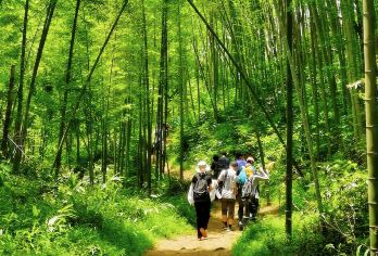 【星溪线】广州+溪头村一日游丨品味竹筒饭+穿越竹林丨定制团建【[轻度徒步]星溪线为广州地区风景优美，线路强度较轻，适合初驴的徒步线路，也适合亲子一家人出游】