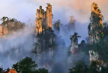 张家界国家森林公园一日游【一单一团+私家小包团+上门接送】【[品质专线]全新升级深度游，高分好评，打卡核心网红景点——袁家界、百龙电梯、十里画廊、天子山。】