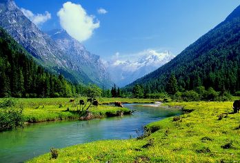 四姑娘山双桥沟一日游【大巴跟团游/包车游/纯玩/上门接送】【[精选线路]阅山河，揽圣山，游川西秘境—四姑娘山双桥沟】