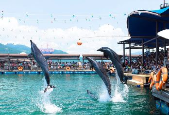 三亚分界洲岛一日游门船票+接送【投喂鳐鱼/上岛自由活动】【5A级景区，适合亲子游，网红玻璃船美拍，自由登分界山顶一览海天一线】