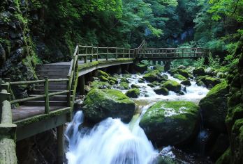 牛背梁国家森林公园一日游【赏秋天然吸氧吧/定期团下单前询位】【牛背梁，天然氧吧，以山为墨，以林为彩，绘就诗意山水图】
