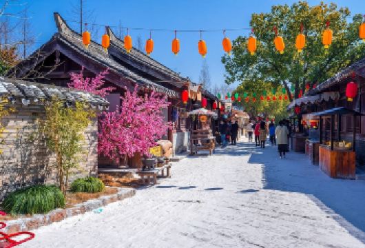 乾陵&袁家村一日游直通车|赠随车导游服务&特色美食豆腐脑【赠送随车导游服务|直达景区不走回头路】