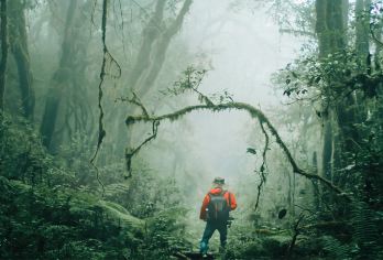 下车直达毛毛球森林/侏罗纪3-22km腾冲高黎贡山徒步一日游【1人起订，（1人可咨询客服下单），没有成团免费退改，不指定座位。】