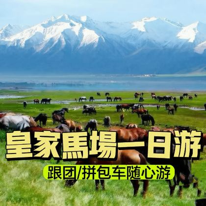 山丹皇家军马场一日游【2-8人精品团+接送+景区长时停留】