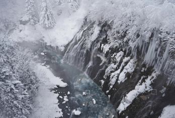 日本旭山动物园-美瑛神社-四季彩之丘-青池【北海道中文专车】【中文专车出行，景点灵活调整，打卡经典，游玩自己定义，无需等待，专属贴心服务，尽享惬意旅程】