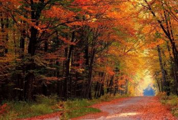 巴中米仓山国家森林公园一日游【巴中出发）或光雾山包车】【包车独立发车，按照人数选择车型，价格指的是一辆车的价格，独立包车不拼团】