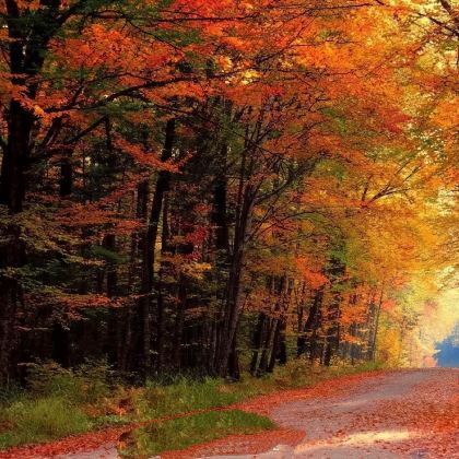 巴中米仓山国家森林公园一日游【巴中出发）或光雾山包车】