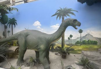 国家自然博物馆一日游-口碑服务-12人小团-上帝密码精品研学【1、让孩子深入了解自然构造、生物的演化。】