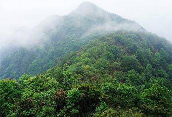 广州三角山一日游【挑战从化三角山 探秘丛林碎石坡】【从化三角山海拔1036米，是从化第七高峰，路线交错，有小溪、丛林、乱石坡，是从化不可多得的登山路线】