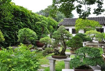 留园＋西园寺【猩咖说|3H趣讲|含门票耳机】【[一单一团]独立小包团服务一对一，提供蓝牙讲解耳机，品质有保障】