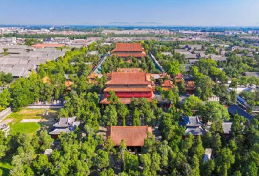 【孔儒说】曲阜一日游[孔庙孔府+孔子博物馆·优秀导游]【优秀导游全程带队！沉浸式体验儒家文化】