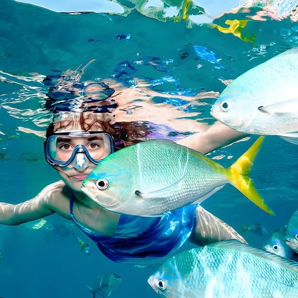 泰国象岛一日游【浮潜出海一日游半日跳岛游酒店接送含餐包船】