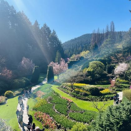 加拿大维多利亚内港+布查德花园一日游/行程可调-悦享旅途