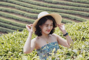 普洱银生茶庄园+普洱茶马古道遗址公园一日游【酒店接送+门电】【[尊享定制团]一对一服务，专车司机用车服务，酒店上门接送，纯玩行程，随心出发，懒人玩法！】