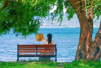 大理环洱海包车一日游：上门接送+景点任选+一单一团纯玩无购物【[可定制路线]苍山，崇圣寺三塔，文笔村，廊桥，磻溪S湾，喜洲古镇，大理古城，双廊，南诏风情岛】