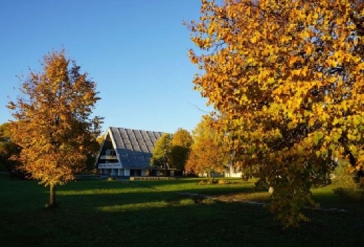 俄罗斯莫斯科大剧院+红场+凯旋门一日游/行程可调-可定制【专属客服和本地中文司机，一家一团包车】