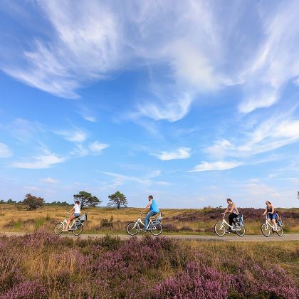 奥特洛+高费吕韦国家公园+荷兰罗宫一日游