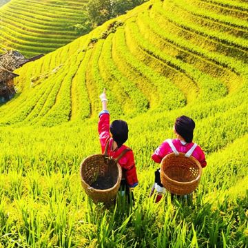 龙脊金坑梯田+金佛顶+黄洛红瑶寨一日游【纯玩2-8人小团】