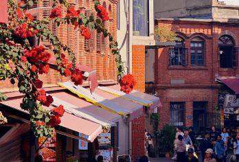 厦门南普陀+鼓浪屿旅拍一日游【含接送+船票+导游+纯玩】【可一对一定制线路，朋友式带路，专业讲解、暖心服务！】