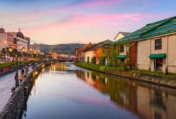 札幌+白色恋人+北海道神宫+藻岩山一日游【包车10小时 】【[当地中文司导，行程可调，详情请咨询客服]】