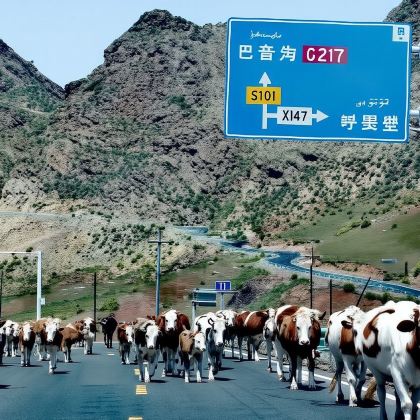 新疆S101省道+百里丹霞观景台一日游【精品包车游】