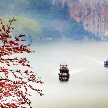 南宁+百鸟岩+百魔洞+长寿村特色一日游