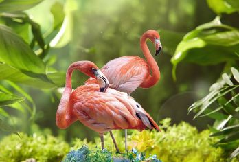 北京北京野生动物园一日游【独立包车/亲子畅游/四环内接送】【纯玩无购物 睡醒即发亲子游，家庭游】