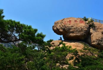 青岛崂山仰口+太清+青山渔村+环海路+八水河【儿童免费！】【[特别省心]市区酒店上门接，专车进山不用换乘压力，精致出游一站式服务让您更放心】