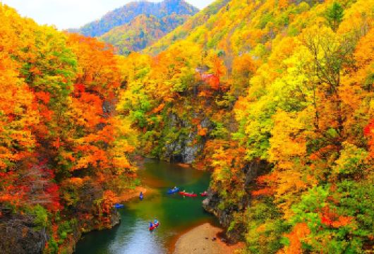 日本北海道定山溪温泉+支笏湖【私家包车/VIP定制】【尊享一对一高端行程定制，豪华包车专属礼遇，专业旅行顾问24小时恭候垂询。】