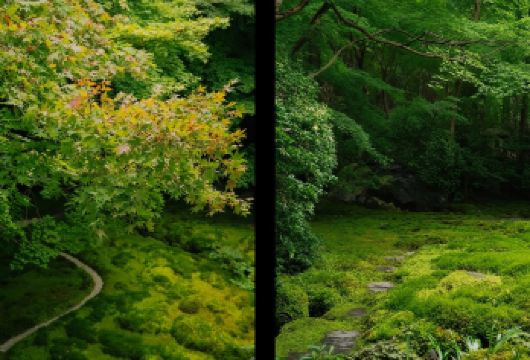 日本大阪-黑门市场-通天阁-心斋桥-道顿堀-经典经典+购物。【专业行程定制，精选热门景点，高效游玩不走回头路，贴心服务保障，轻松】