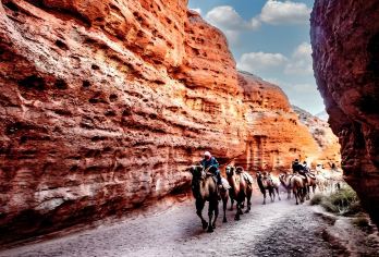 张掖平山湖大峡谷半日游【峡谷穿越上午/下午班丨多点上下车】【张掖免费接送，免费寄存行李】