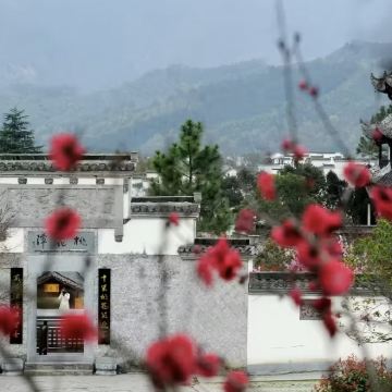 黄山包车|太平湖+桃花潭景区一日游 ·上门接送 