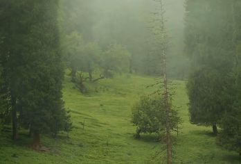 伊犁库尔德宁景区一日游【小团市区内接送/纯玩团/景区大环游】【小团自驾车进入，中沟进东沟出，看精华美景~】