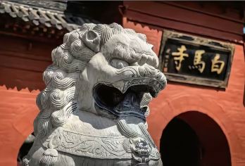 洛阳王城+白马寺+洛阳博物馆+国花园+包车一日游-可英文服务【走进白马寺，领略千年古刹风采，感受佛韵禅意】