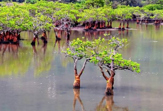 2人起订私家团铜鼓岭航天科普馆东郊椰林一日游海口文昌上门接送【所选城市市区免费上门接送，方便快捷，省时省力（时间可微调）】